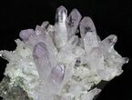 Spectacular Amethyst Crystal Cluster - Las Vigas, Mexico #31946-3